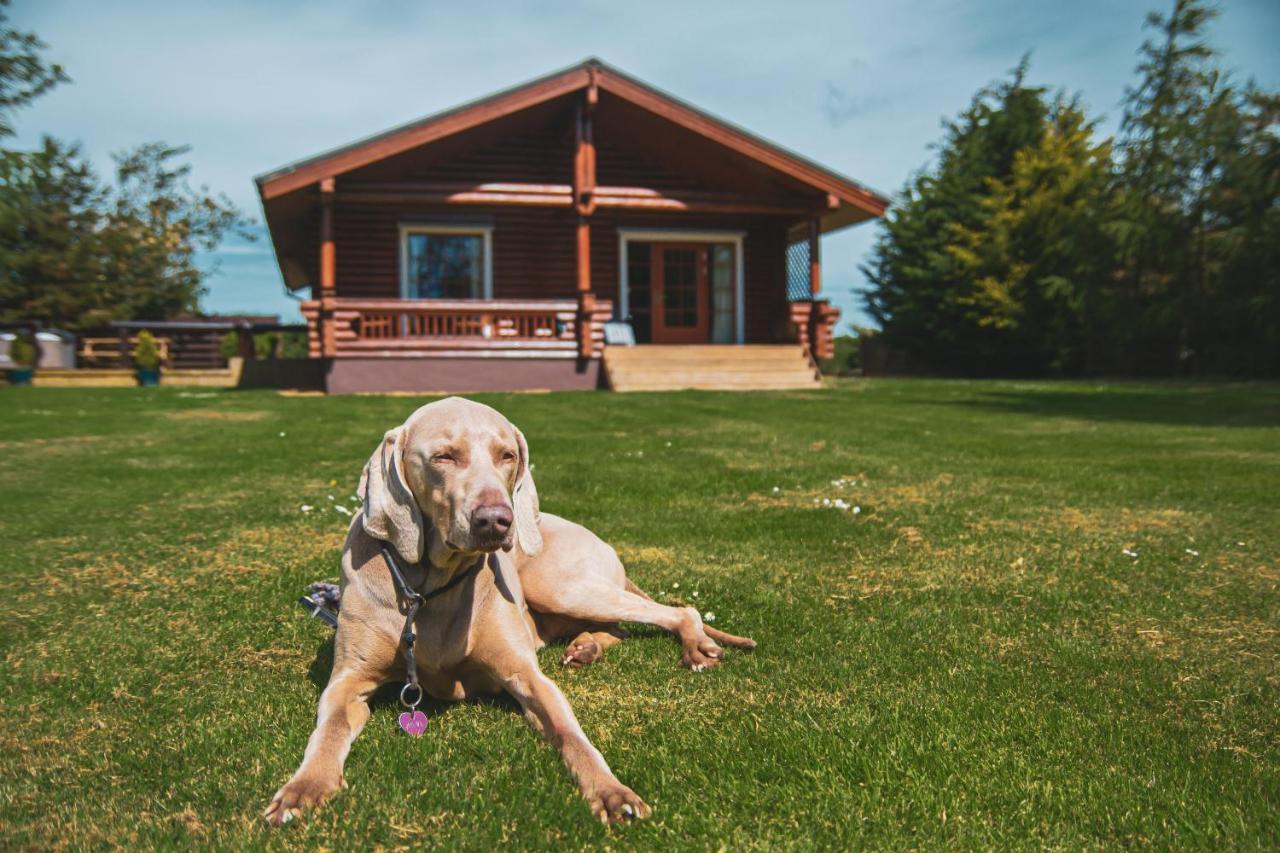 Tomatin - Luxury Two Bedroom Log Cabin With Hot Tub Berwick Upon Tweed Екстер'єр фото